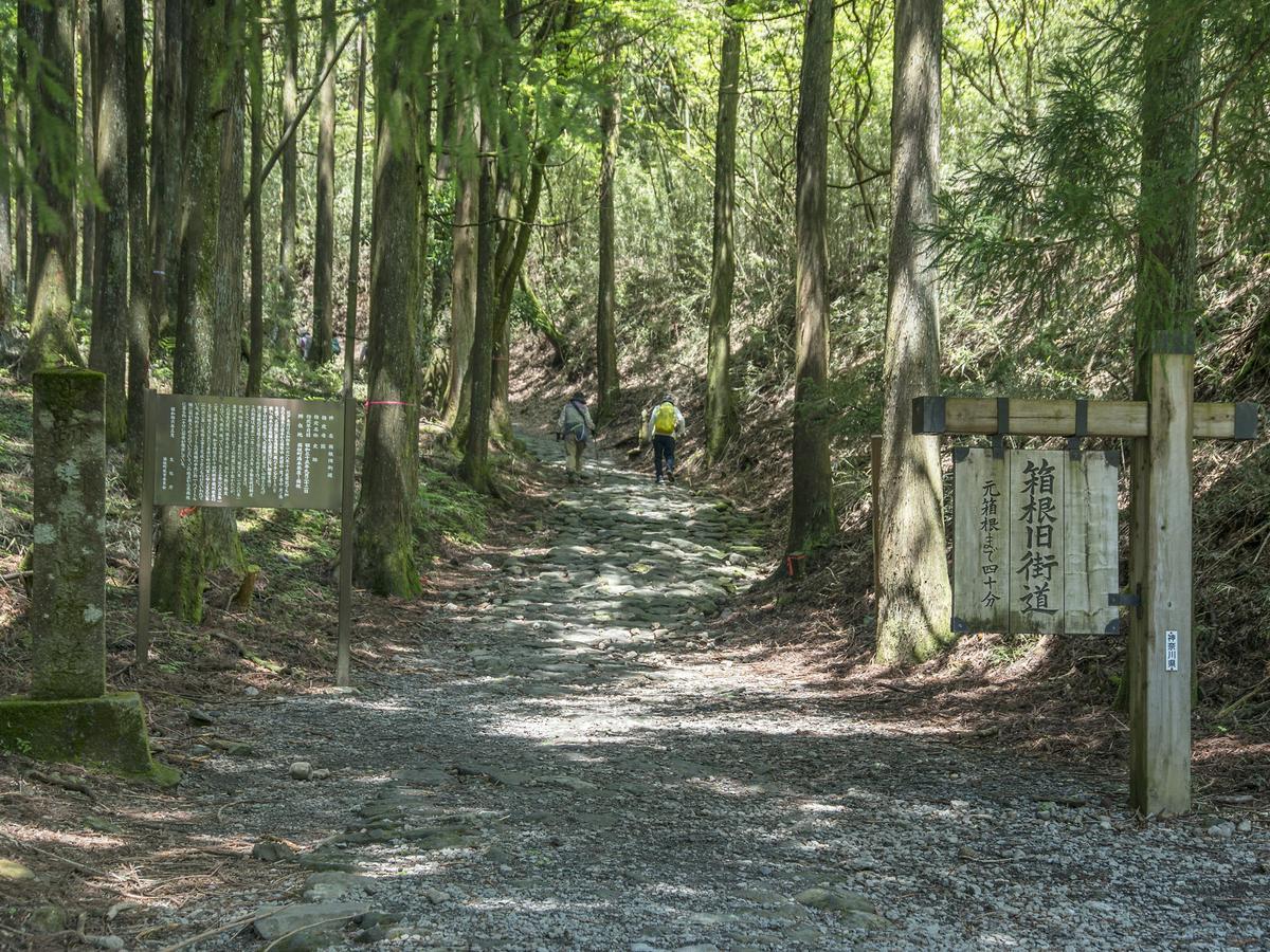 Tkp Lectore Hakone Gora Dış mekan fotoğraf